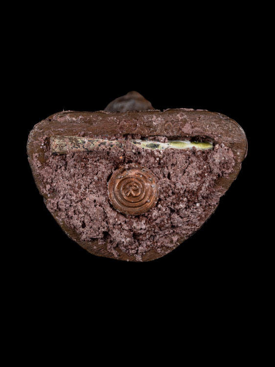 รูปหล่อปู่สิงห์สมิงพราย หลวงปู่กาหลง วัดเขาแหลม-1