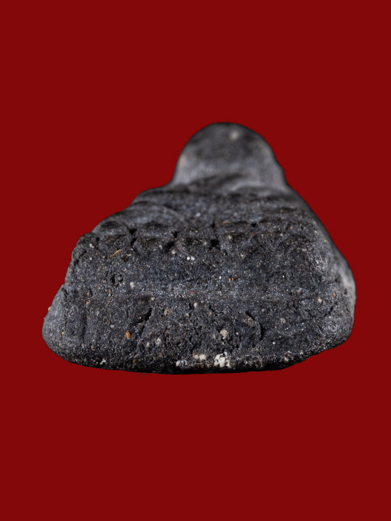 พระหลวงปู่ทวด วัดช้างให้ เนื้อผงว่าน รุ่นจอมพลสฤษดิ์-1