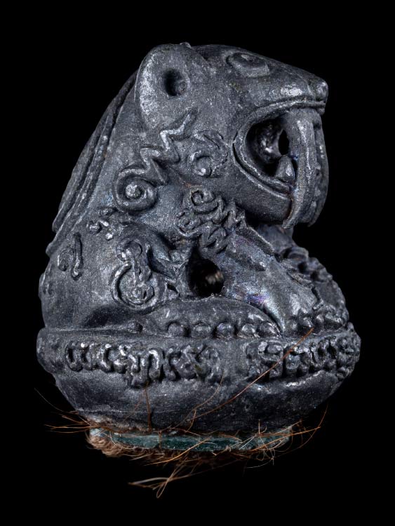 พยัคฆ์เขี้ยวดาบ หลวงปู่กาหลง เขี้ยวแก้ว-1