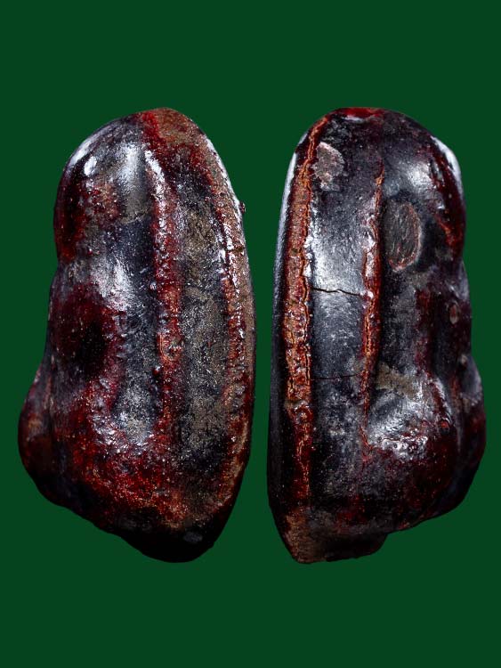 พระหลวงพ่อช่วง เนื้อผงคลุกรัก วัดบางแพรกใต้ จ.นนทบุรี-1