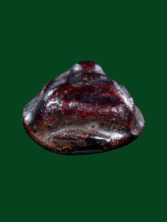 พระหลวงพ่อช่วง เนื้อผงคลุกรัก วัดบางแพรกใต้ จ.นนทบุรี-1